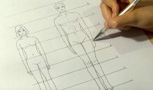 Les proportions Homme/Femme