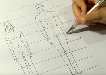 les différentes proportions homme femme