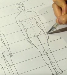Les proportions Homme/Femme
